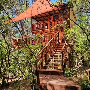  Ferienhaus Treehouses Glamping Robinson